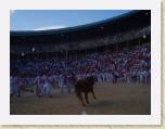 07July05 - Nay, Jenny, Baz, Andy in Spain - Running of Bulls 185 * 2272 x 1704 * (843KB)